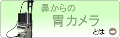 �@����̈݃J����